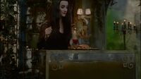 The New Addams Family S01E23 - Morticia's Favorite Charity.mp4