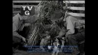 Lassie S05E35 - The Camera.mp4