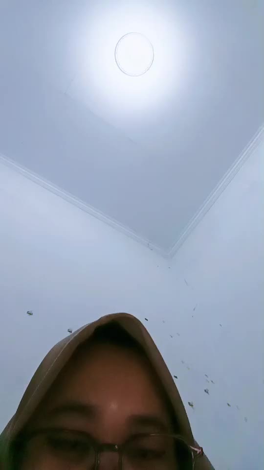 Gadiss ID 2257227 Papaya Live telegram bot @DSrecordbot