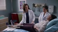 A Anatomia de Grey S18 E10.mp4