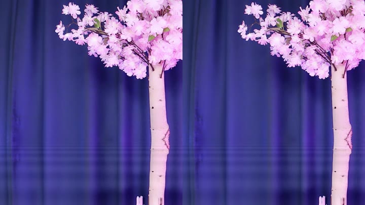 #yuhwac yuhwac_20250829_0930.mp4 @kbjba