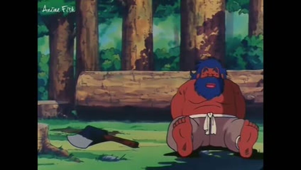 [S01E018] El duro entrenamiento de Kame Sennin - AnimeFish