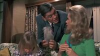Bewitched S05E17 - One Touch of Midas.mp4