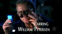 CSI S07E08 - Happenstance.mp4