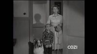 Lassie S06E23 - The Epidemic.mp4