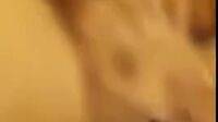 Bokep Indo Ketemu Dengan Pacar Ukhti Kepengen Ngewe Terus