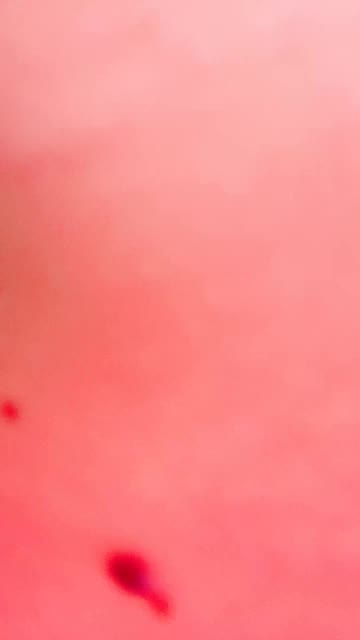 Vaniaa1 ID 1929014780532547585 Hot51 telegram bot @DSrecordbot