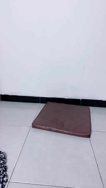 bungamawarku ID 1707218923754528769 Hot51 telegram bot @DSrecordbot