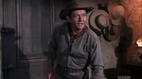 Bonanza S08E23 - A Woman in the House.mp4