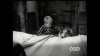Lassie S05E02 - Wishing.mp4