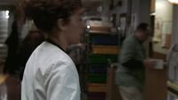 ER S09E17 - The Advocate.mp4
