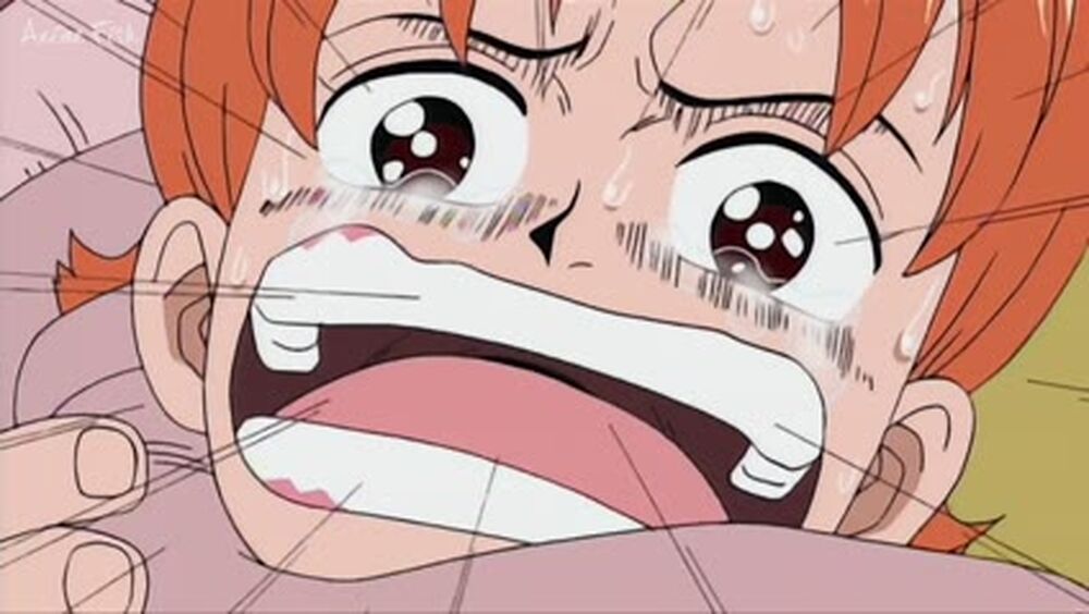 [S01E0036] Â¡Sobrevive! Â¡El viÌnculo entre Nami y su madre Bellemere! - AnimeFish