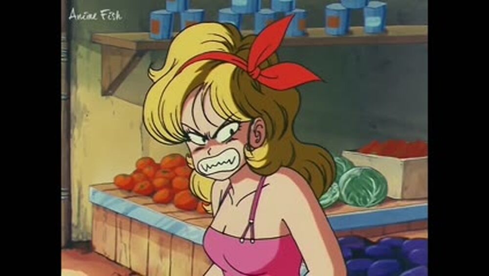 [S01E047] Â¡Â¡Encuentran la casa de Kame Sennin!! - AnimeFish