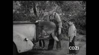Lassie S04E02 - Seeing Eye Dog.mp4
