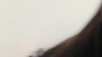 Bokep Gladys Zara Ebot Sambil Pelintir Utingnya Bokep Gladys Zara Ebot Sambil Pelintir Utingnya