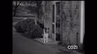 Lassie S05E23 - Tartan Queen.mp4