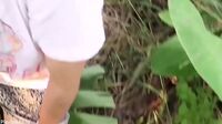 Bokep Indo Play Bokep Croot Di Kebun Pisang Tetangga Bokep Indo Play Bokep Croot Di Kebun Pisang Tetangga