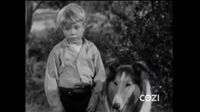 Lassie S04E05 - The Berrypickers.mp4