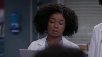 A Anatomia de Grey S19 E13.mp4
