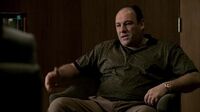 The Sopranos S05E05 - Irregular Around the Margins.mp4