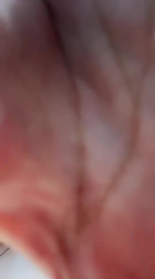 CELYNBACK ID 4298228 Papaya Live telegram bot @DSrecordbot