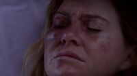 Grey's Anatomy S12 Ep09.mp4