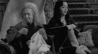 The Addams Family S02E27 - Lurch's Little Helper.mp4