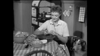 Lassie S05E26 - The Bonnet.mp4