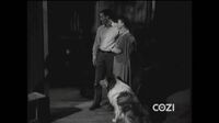 Lassie S05E38 - Camp Out.mp4