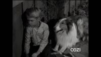 Lassie S06E15 - Star Reporter.mp4