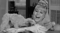 I Dream of Jeannie S01E24 - The Permanent House Guest.mp4
