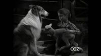 Lassie S06E32 - The Killer.mp4