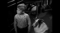 Lassie S06E01 - The New Refrigerator.mp4