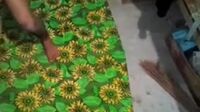 Bokep Indo Abg Mesum Saat Ortu Gak Ada Di Rumah