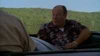 The Sopranos S06E13 - Soprano Home Movies.mp4