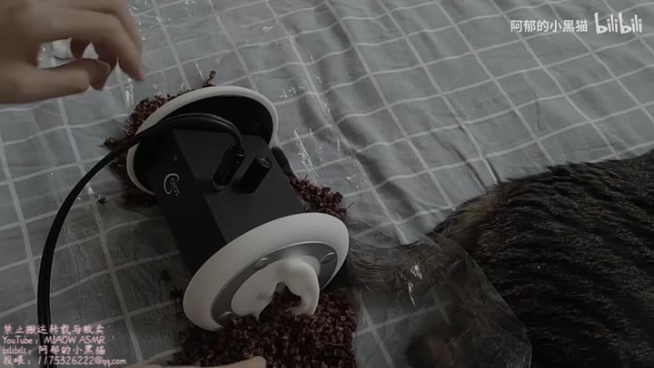 #阿郁的小黑猫 往你耳朵里塞花椒（狗头）简直就是三表舅妈做的事儿。