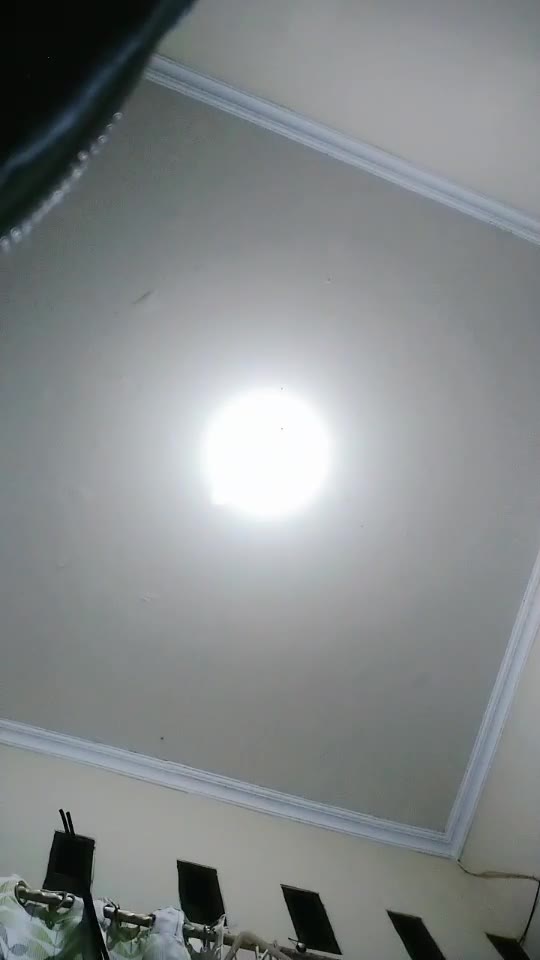 dira ID 4651286 Papaya Live telegram bot @DSrecordbot