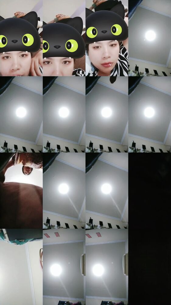 dira ID 4651286 Papaya Live telegram bot @DSrecordbot