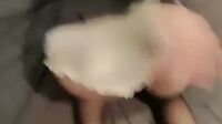 Bokep Lagi diajarin nyepong Bokep Lagi diajarin nyepong