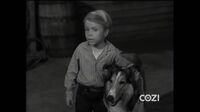 Lassie S04E07 - The Ballerina.mp4