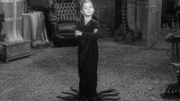 The Addams Family S02E11 - Feud in the Addams Family.mp4