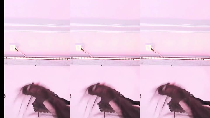#bo1004 bo1004_20250725_1625.mp4 @kbjba