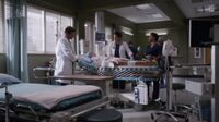 Grey's Anatomy S12 Ep01.mp4