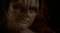 Star Trek DS9 S07E22 - Tacking Into the Wind.mp4