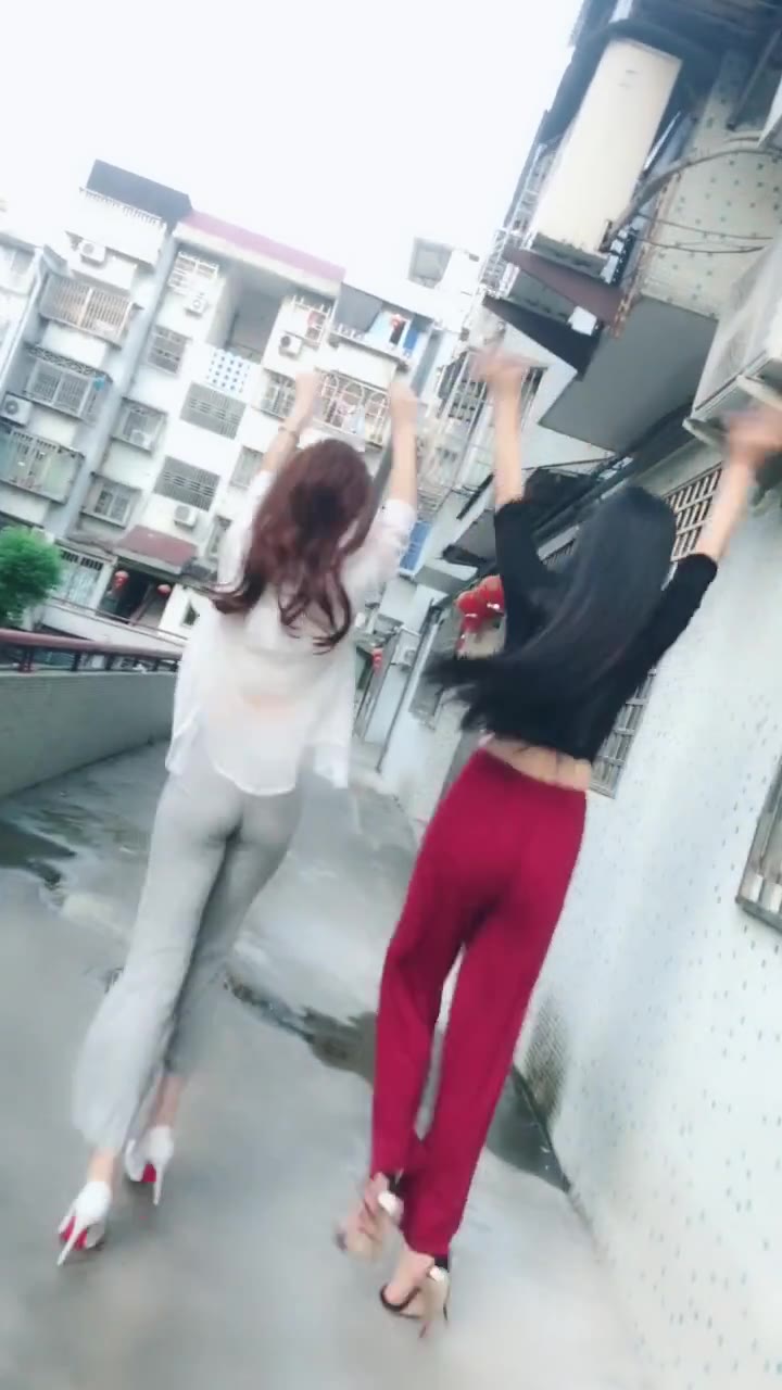 微拍No.8462