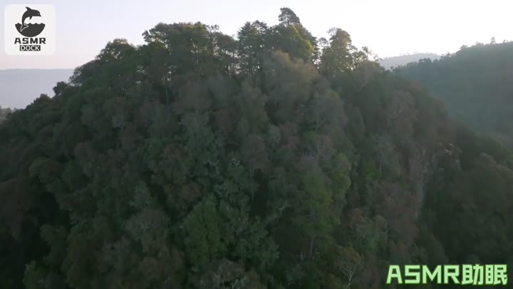 嘿，有点意思！31分钟舒畅舔耳玛莎鸡，免疫必听，自然助眠