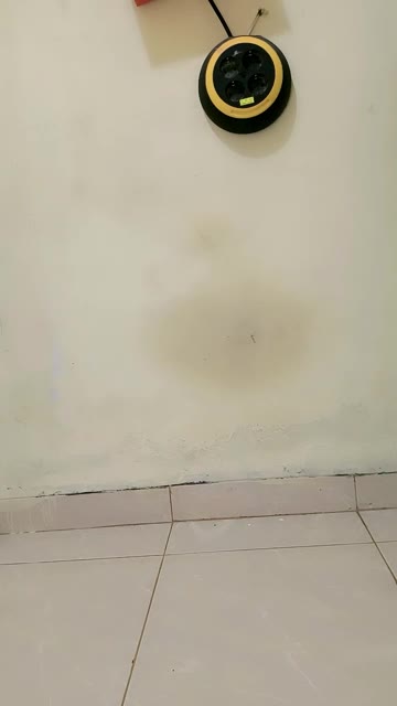 Lumineko9 ID 1779097214596849665 Hot51 telegram bot @DSrecordbot