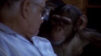 L.A. Law S06E05 - Monkey on My Back Lot.mp4